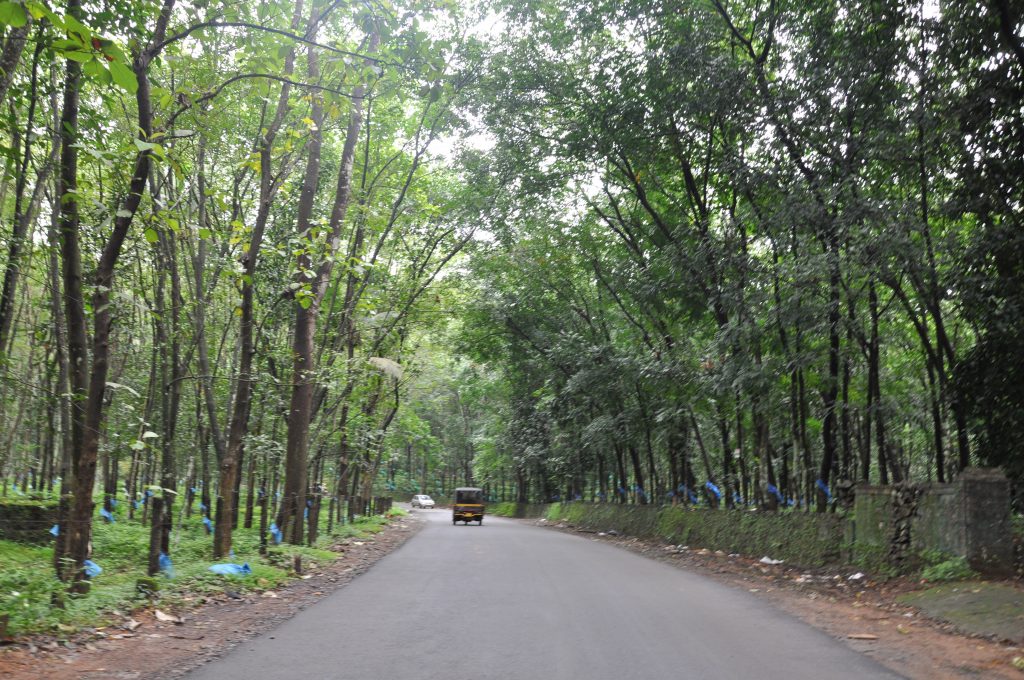 Rent a Car in Kanjirappally Rent a Car in Kottayam